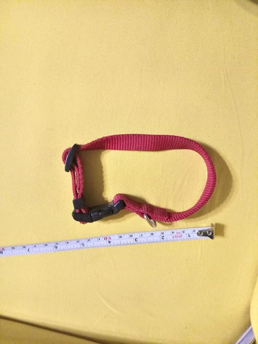 Red Dog Collar